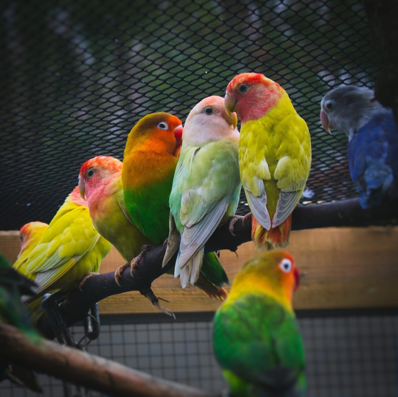 PHOTO-2024-08-08-11-35-08