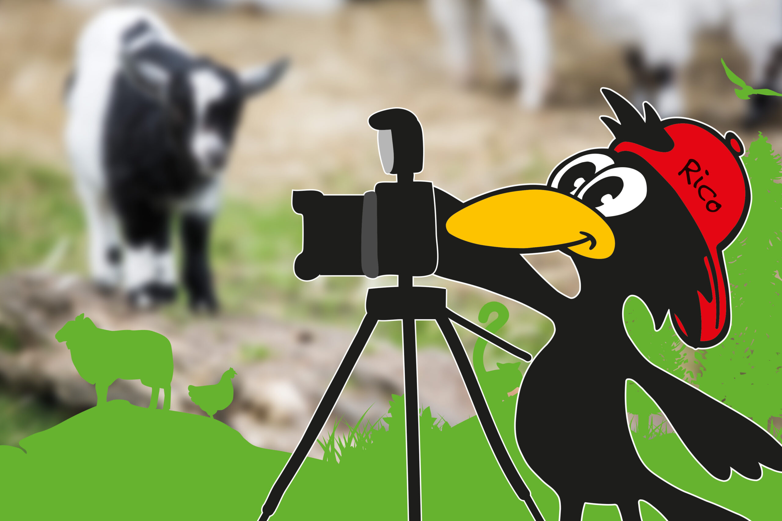 Platzhalter-Bild TP-Homepage